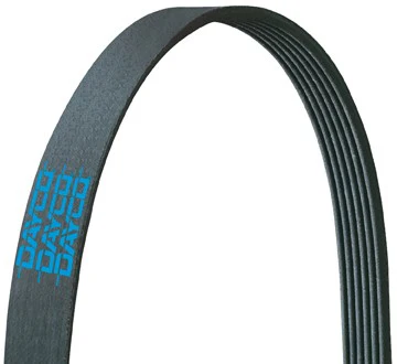 Dayco E060281 Serpentine Belt - Fan
