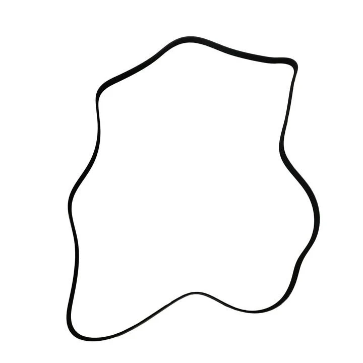 SKP SK060956 Serpentine Belt