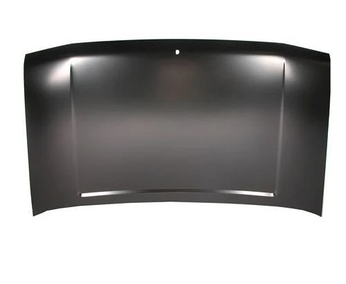TechPro CH1230106C Hood Panel Assembly