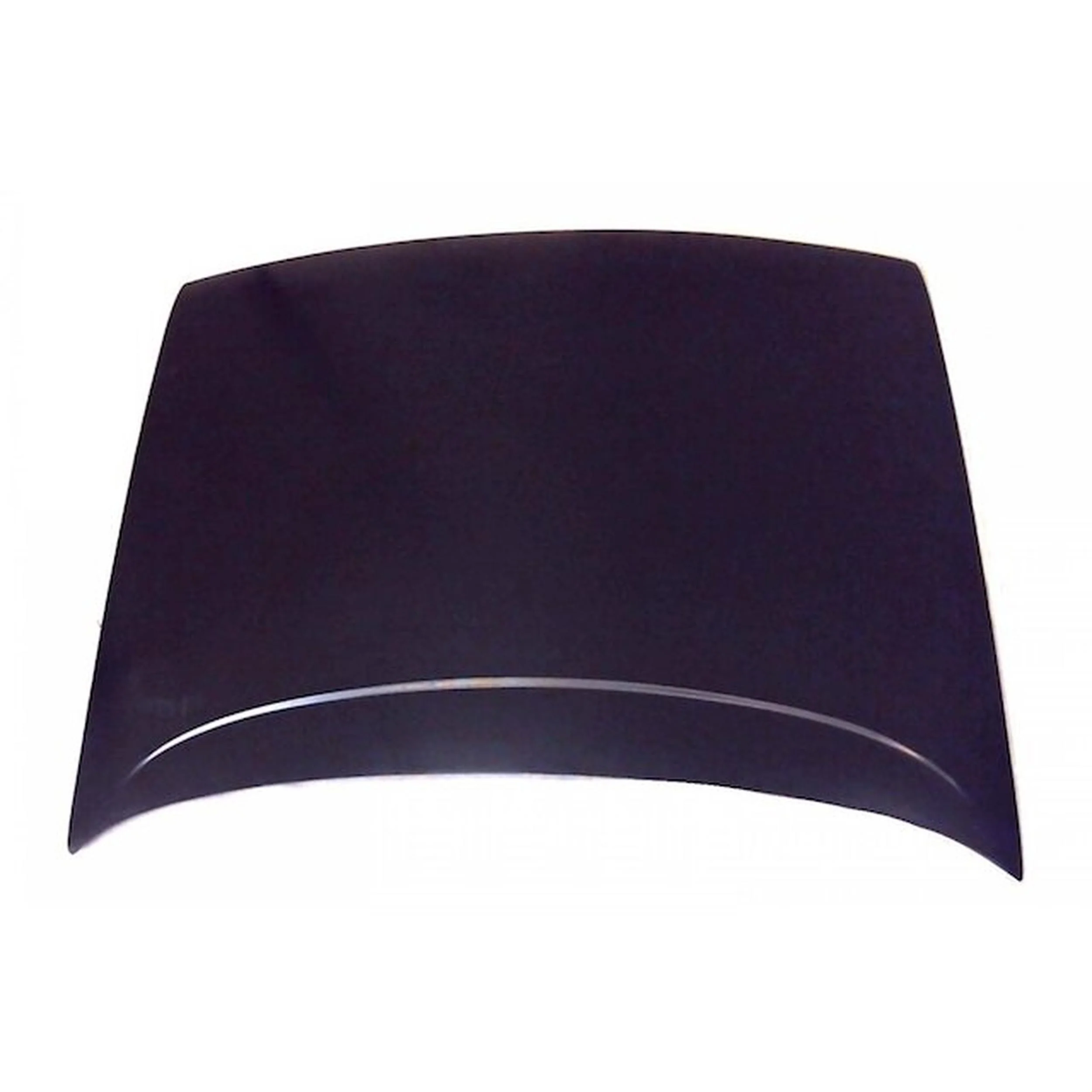 TechPro FO1230114 Hood Panel Assembly