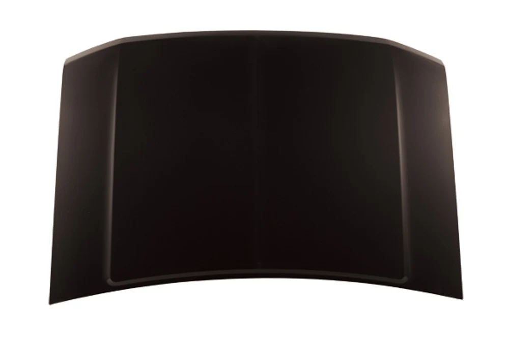 TechPro FO1230121C Hood Panel Assembly