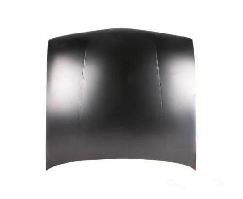 TechPro GM1230103C Hood Panel Assembly