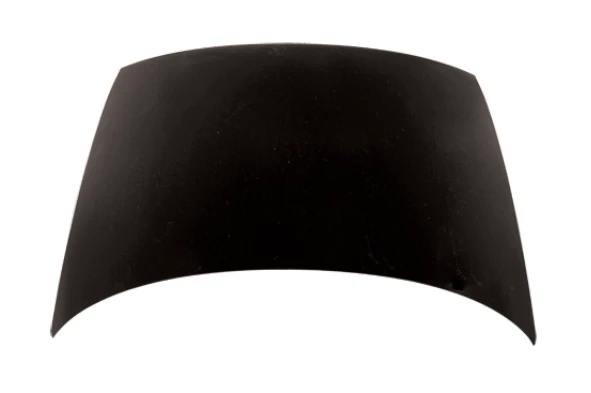 TechPro HO1230149C Hood Panel Assembly