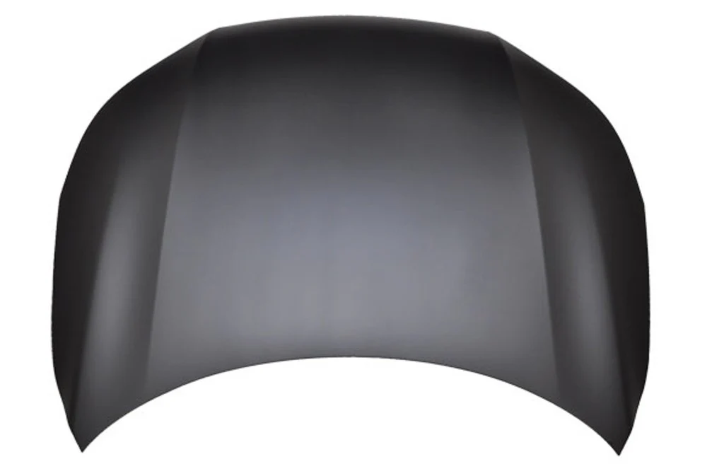 TechPro HO1230170C Hood Panel Assembly