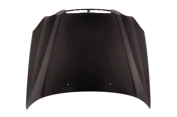 TechPro HY1230130 Hood Panel Assembly