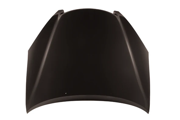 TechPro LX1230103C Hood Panel Assembly